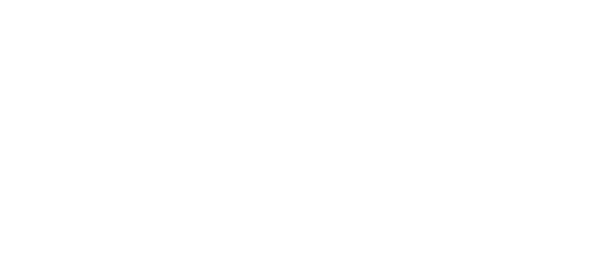 NES Final Logos_PTT-NES_horizontal_white